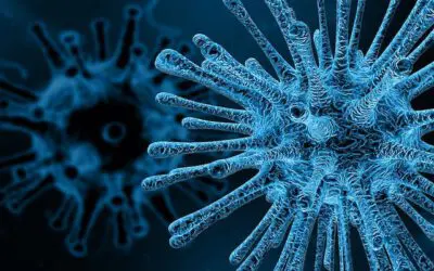 Wie gefährlich ist Corona wirklich?